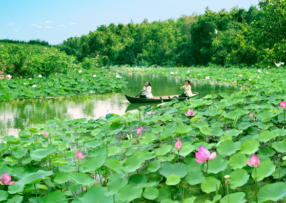 Khu du lịch sinh thái Gáo Giồng "ốc đảo xanh" của Đồng Tháp