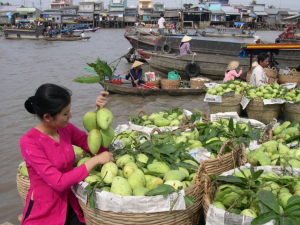 Tour Miền Tây Lễ 02/9/24 | Cần Thơ - Sóc Trăng - Bạc Liêu - Cà Mau - Chợ Nổi Miệt Vườn | 3 ngày 2 đêm | Giá 3.290K | KH 01/9/24