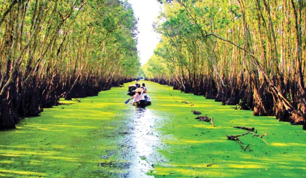 Tour Miền TâyTết Nguyên Đán 2025 khởi hành từ Sài Gòn: Mỹ Tho - Châu Đốc - Cần Thơ - Cồn Sơn 3N2Đ