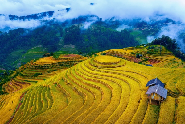 Tour Cần Thơ - Tây Bắc: Hà Nội - Nghĩa Lộ - Tú Lệ - Mù Cang Chải - Sapa - Fansipan - Lai Châu - Điện Biên - Sơn La - Mộc Châu Island - Trải nghiệm cầu kính đi bộ dài nhất thế giới  (khách sạn 2 sao & 3 sao)