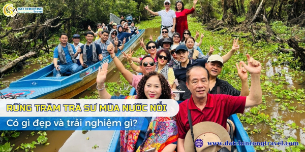 Rừng Tràm Trà Sư mùa nước nổi: Có gì đẹp và trải nghiệm gì?