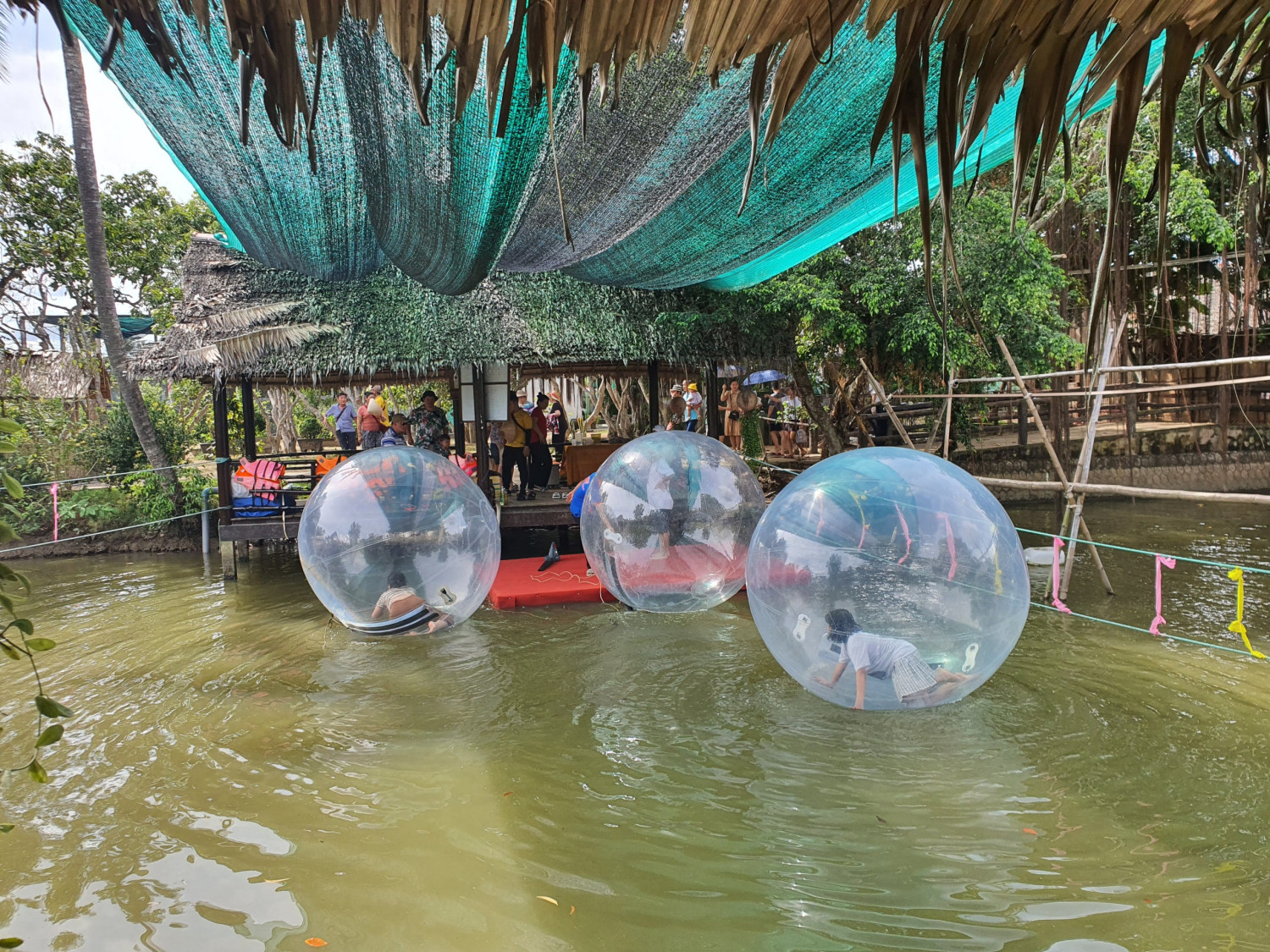 cồn phụng