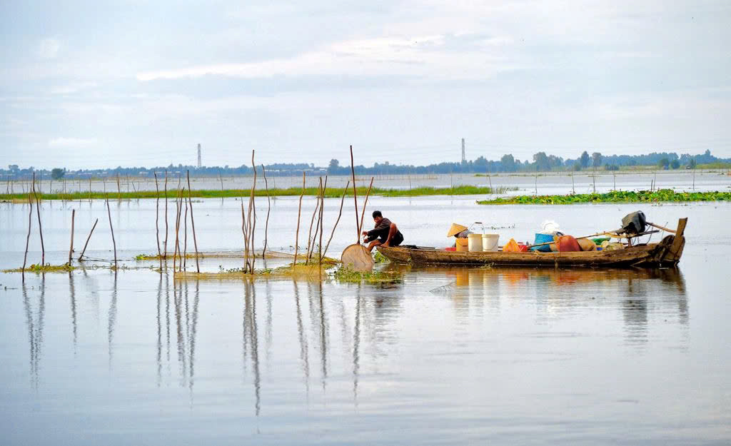 Hoạt Động Đổ Vớn Bắt Cá