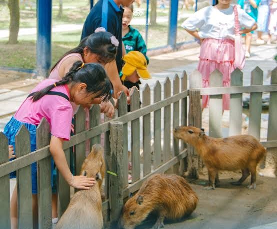 capybara eco